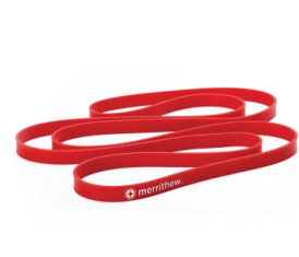 Resistance Loop™ · Regular Strength | TechFit Pilates Pilates equipment India