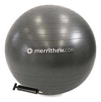 Stability Ball™ with Pump 75cm (Gray) | TechFit Pilates Pilates equipment India